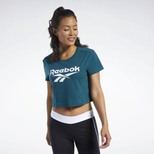 Crop Top Damskie Reebok Classic Vector Jasny Turkusowe PL 28KHZVX